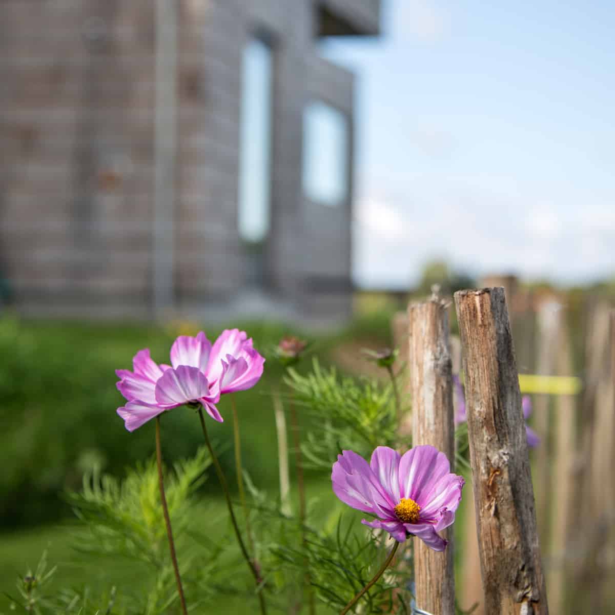 Bæredygtig kvalitet – hele vejen rundt