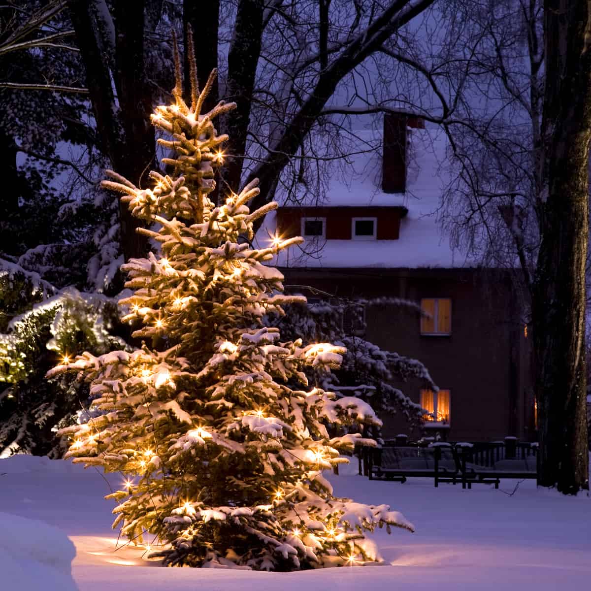 Tips til en sikker jul