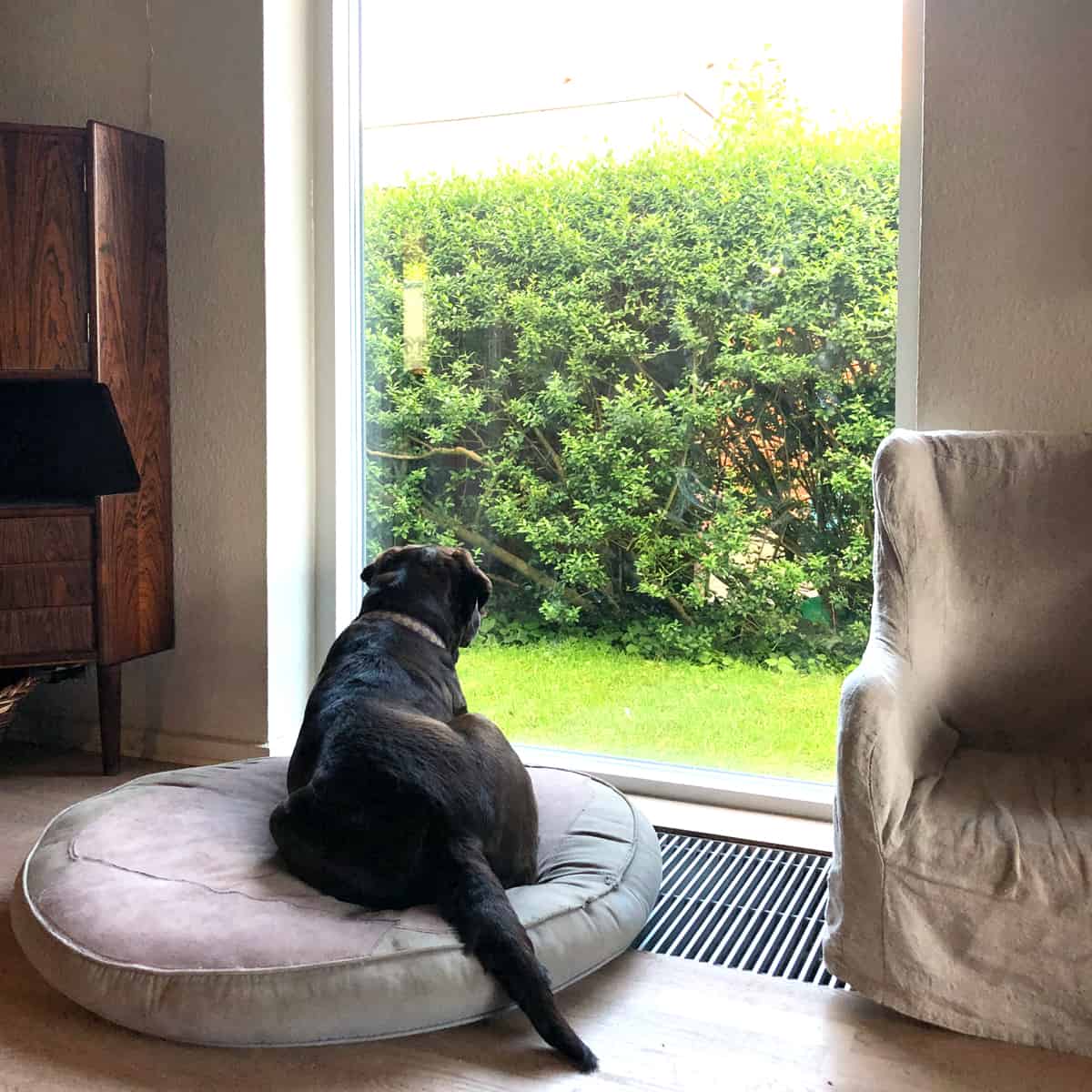 Nu nyder hele familien lyset indenfor – uden træk og kulde