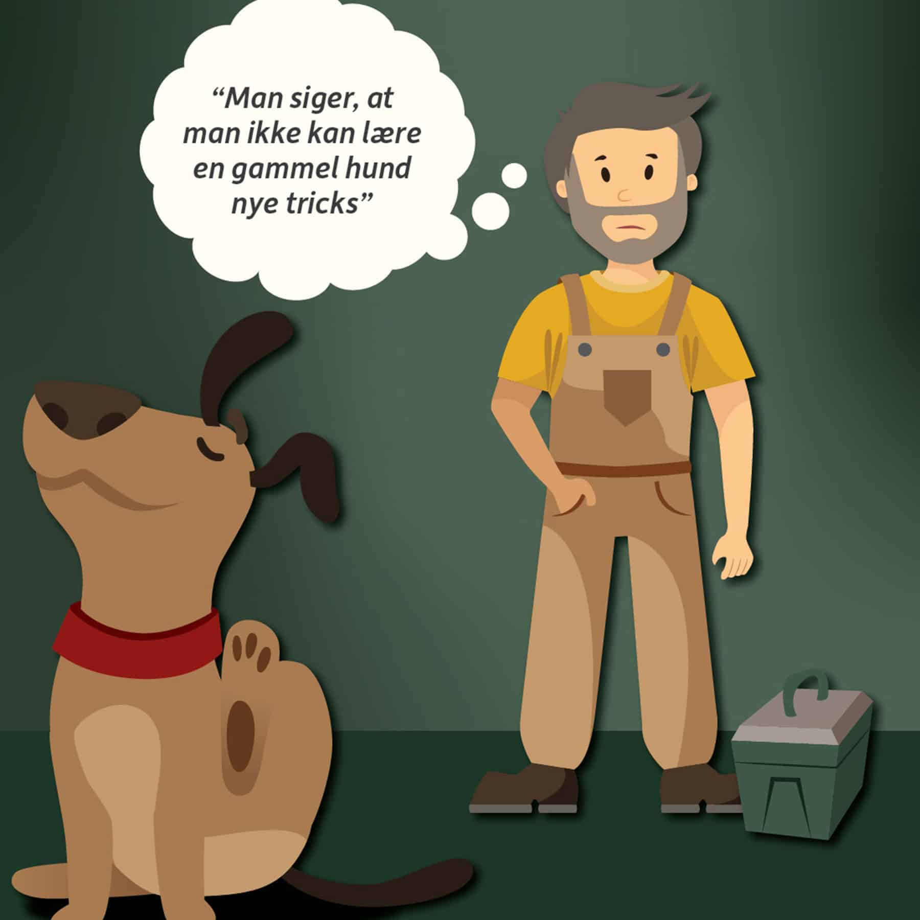 Hold din vinduesviden ved lige