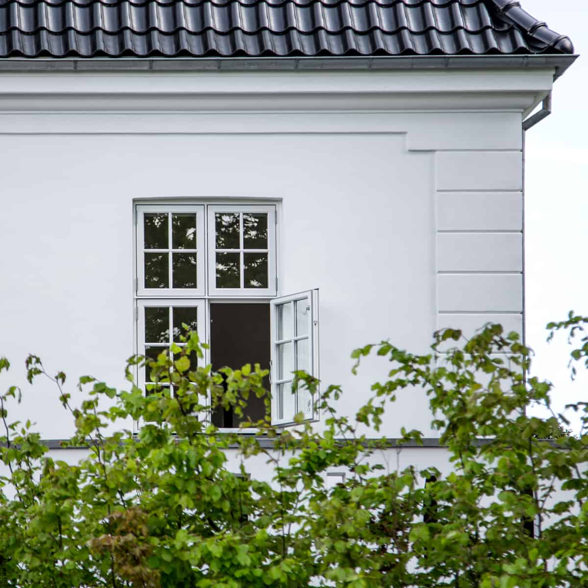 Værd at vide om sprosser